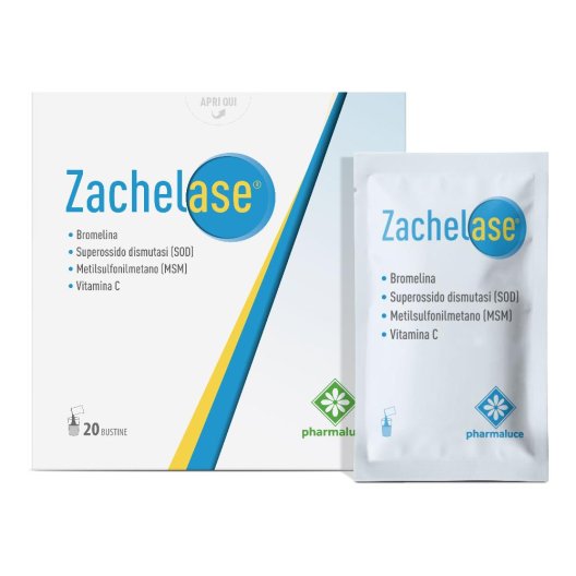 ZACHELASE 20BUST ZACHELASE 20BUST
