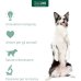 Oculvet - gocce oculari per cani e gatti - 10 ml