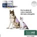 Redonyl ultra 50 mg per la salute di cute e mantello del cane e del gatto 60 capsule spremibili