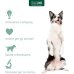 Retopix Oto gocce auricolari per cani e gatti 15 ml