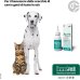 Auria Detergente Auricolare per cani e gatti - 100 ml Auria Detergente Auricolare per cani e gatti - 100 ml