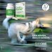 Condrogen Energy - per la salute articolare di cuccioli e cani adulti - 60 compresse 