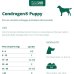 Condrogen Puppy - 60 compresse - sviluppo articolare cucciolo