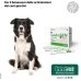 Condrogen Sport - 60 Stick - per le articolazioni di cani sportivi