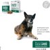 Condrostress Mobility - 30 bocconcini masticabili (soft chews)