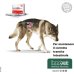 Normalia Fast - 10 capsule - Diarrea Acuta Cani Gatti 