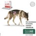 Normalia Fast - 100 capsule - Diarrea Acuta Cani Gatti 