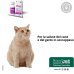 Oleea Capsule per cani e gatti obesi o in sovrappeso - 60 capsule birillo 