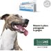 Restomyl Dentifricio per cani e gatti - 50 ml