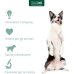 Restomyl Gel - 30 ml - per la salute della mucosa orale di cani e gatti 