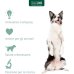 Retopix Fluido lenitivo idratante per cani e gatti - 10 fialette da 2 ml