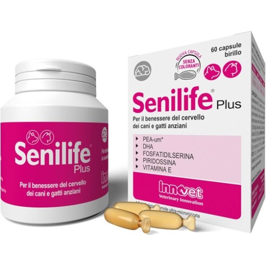 Senilife Plus - 60 capsule - supporto cognitivo cani e gatti anziani Senilife Plus - 60 capsule - supporto cognitivo cani e gatti anziani