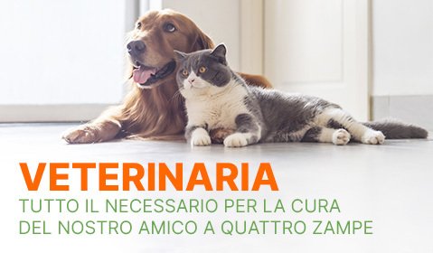 promo-veterinaria