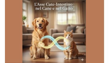 L’Asse Cute-Intestino nel Cane e nel Gatto