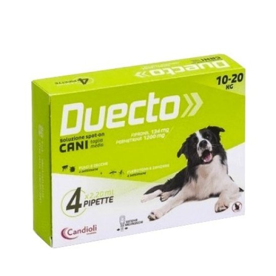 DUECTO*4PIP 10-20KG CANI