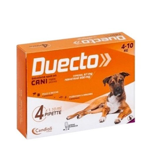 DUECTO*4PIP 4-10KG CANI