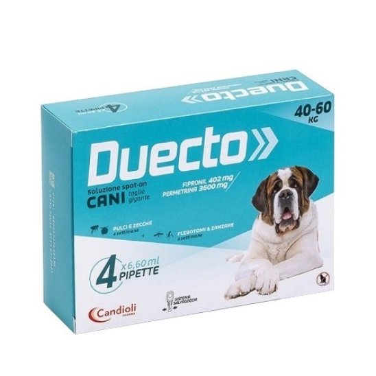 DUECTO*4PIP 40-60KG CANI