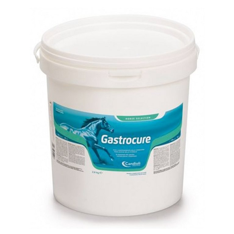 Gastrocure secchiello da 2,6 kg