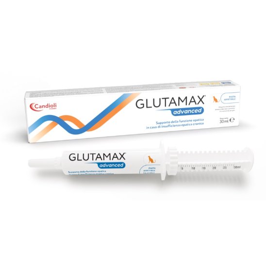Glutamax Advanced pasta appetibile per gatti in siringa dosata da 30 ml