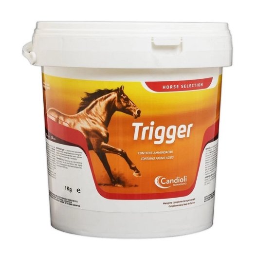 Trigger - mangime complementare per cavalli a base di aminoacidi - secchiello da 1 kg