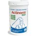 Actinorm Pro - 60 compresse per il benessere intestinale di cani e gatti