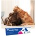 Orozyme Gel - per l'igiene orale di cani e gatti - 70 g