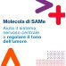 Samefast Up Umore 20 Stick | Integratore con SAM-e, Acido Folico e Vitamina B12 Samefast Up Umore 20 Stick | Integratore con SAM-e, Acido Folico e Vitamina B12