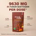 French Mush Cacao Boost BIO - 20 dosi - Sostituto Caffè Funzionale 100 g