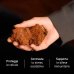 French Mush Chaga BIO - 56 capsule di Inonotus Obliquus Biologico French Mush Chaga BIO - 56 capsule di Inonotus Obliquus Biologico