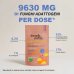 French Mush Chicory Boost - 20 dosi polvere - Bevanda Cicoria e Funghi 100 g