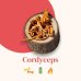French Mush Cordyceps BIO - 30 g Polvere