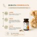 French Mush Lion's Mane BIO - 56 capsule di Hericium Biologico French Mush Lion's Mane BIO - 56 capsule di Hericium Biologico