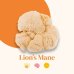 French Mush Lion's Mane BIO - 30 grammi Polvere di Hericium Biologico