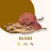 French Mush Reishi BIO - 30 grammi Polvere di Ganoderma Lucidum