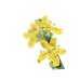 Agrimony - Fiore di Bach n°1 Guna - 10 ml