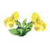 Mimulus - Fiore di Bach n°20 Guna - 10 ml