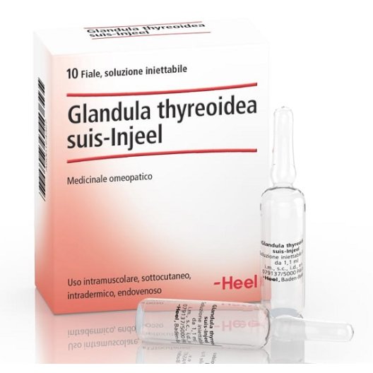 Glandula thyreoidea suis-injeel 10 fiale da 1,1 ml Heel