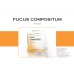 Fucus compositum Heel 10 fiale da 2,2 ml