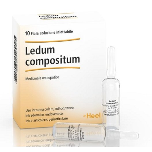 Ledum compositum Heel 10 fiale da 2,2 ml