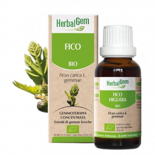 Herbalgem Fico BIO 50 ml - estratti di gemme fresche di Ficus Carica