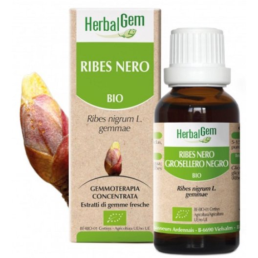 Herbalgem Ribes Nero BIO 30 ml - estratti di gemme fresche di Ribes Nigrum