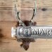 Marvis dentifricio - Whitening Mint - 25 ml