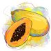 Immun'Age Forte 60 bustine - integratore di Papaya Bio-fermentata