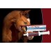 Carobin Horse Pasta - per la normale funzionalità intestinale e digestiva dei cavalli sportivi - 100 grammi
