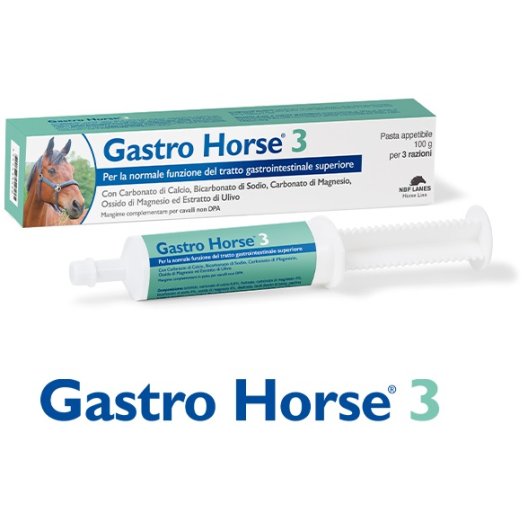 Gastro Horse 3 Pasta per cavalli sportivi - 100 grammi