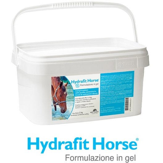 Hydrafit Horse gel reidratante per cavalli sportivi - 40 buste da 50 grammi (2 kg)