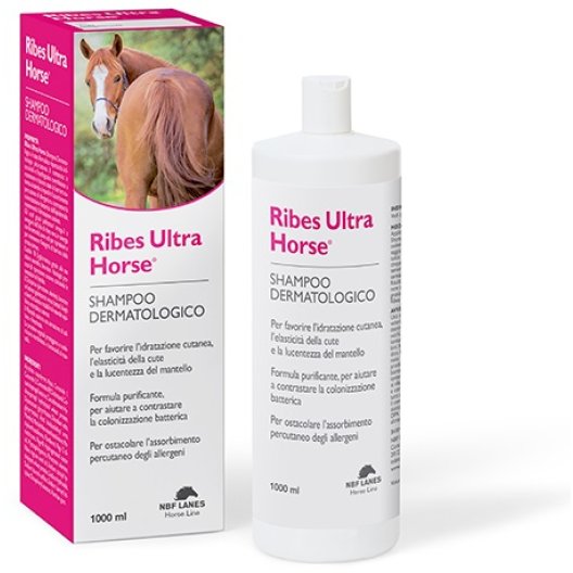 Ribes Ultra Horse - Shampoo Dermatologico per cavalli - 1000 ml