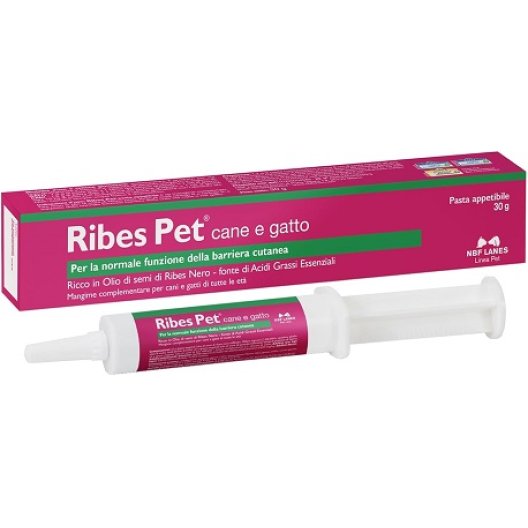 Ribes Pet pasta - siringa da 30 grammi