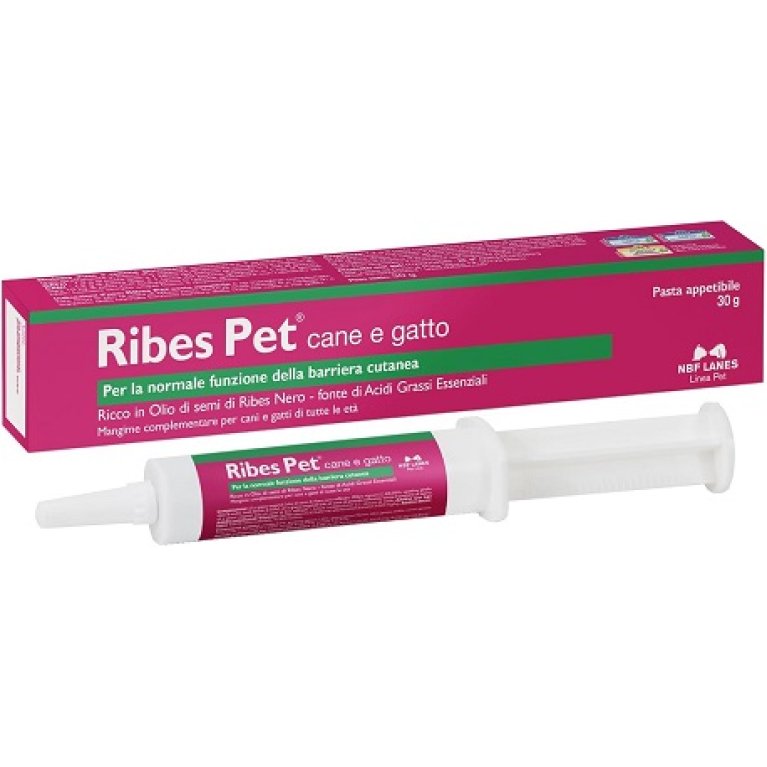 Ribes Pet pasta - siringa da 30 grammi