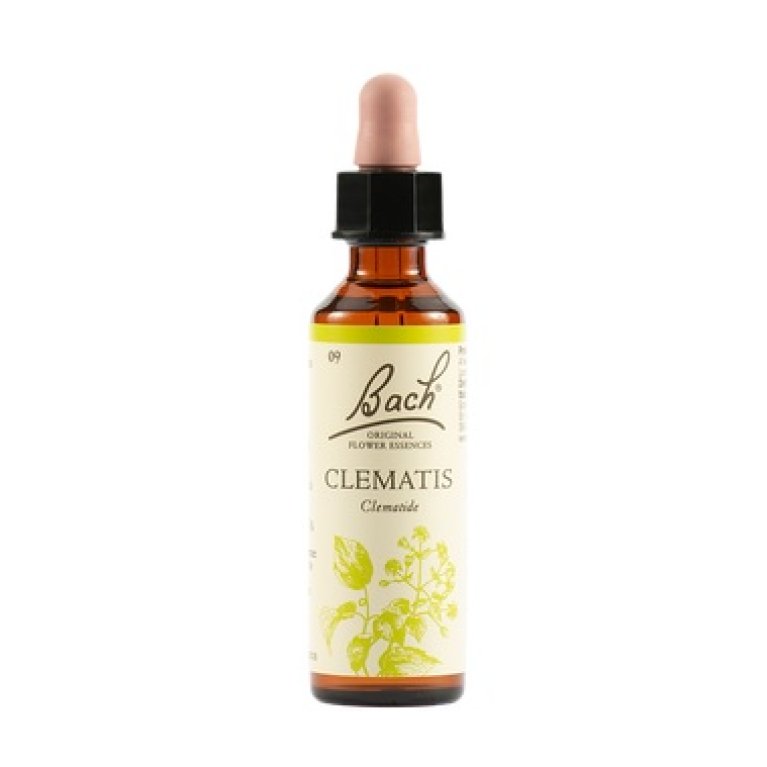 Clematis - Fiore di Bach Originale n°9 - 20 ml